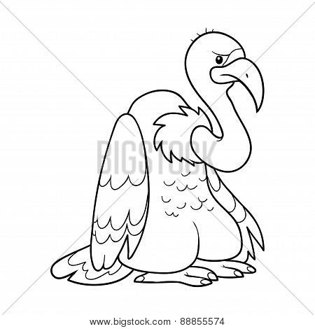 Coloring Book (vulture)
