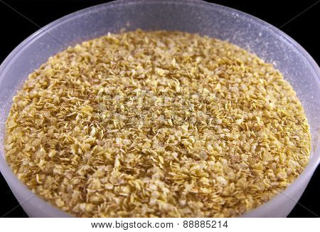 Wheat germ