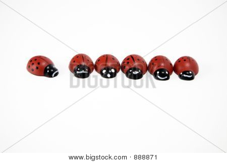 Uitgesloten Ladybird
