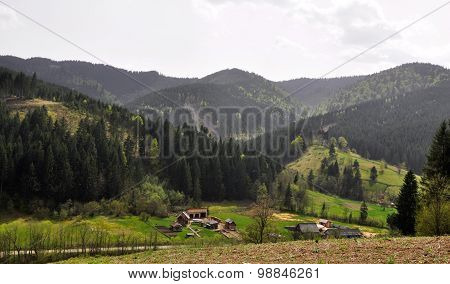 Sawmill In The Forest