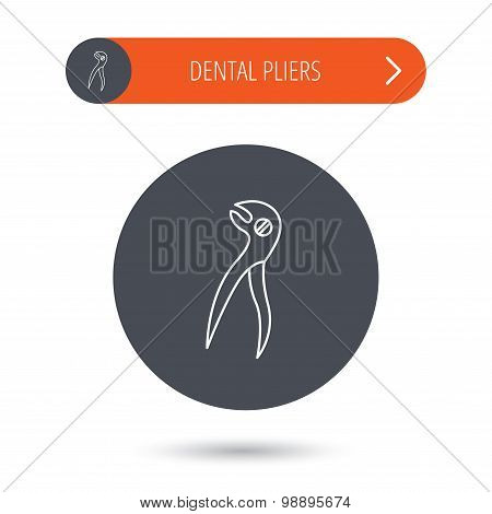 Dental pliers icon. Stomatological forceps tool.