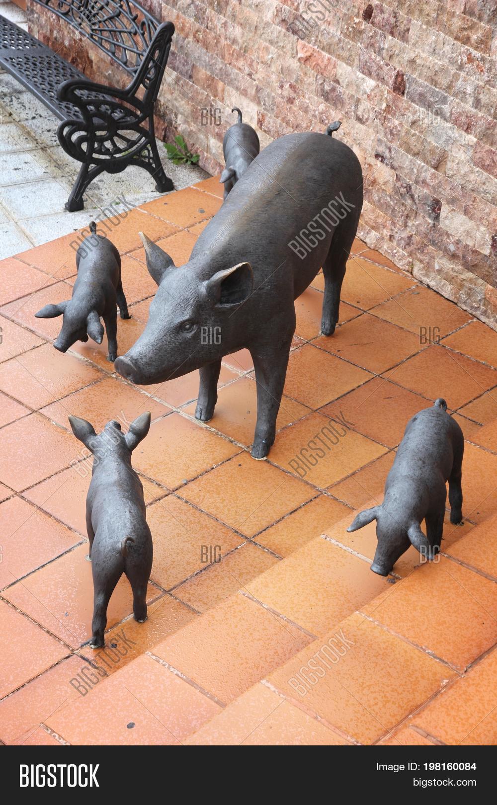 Pigs Family Sculpture Image & Photo (Free Trial) Bigstock