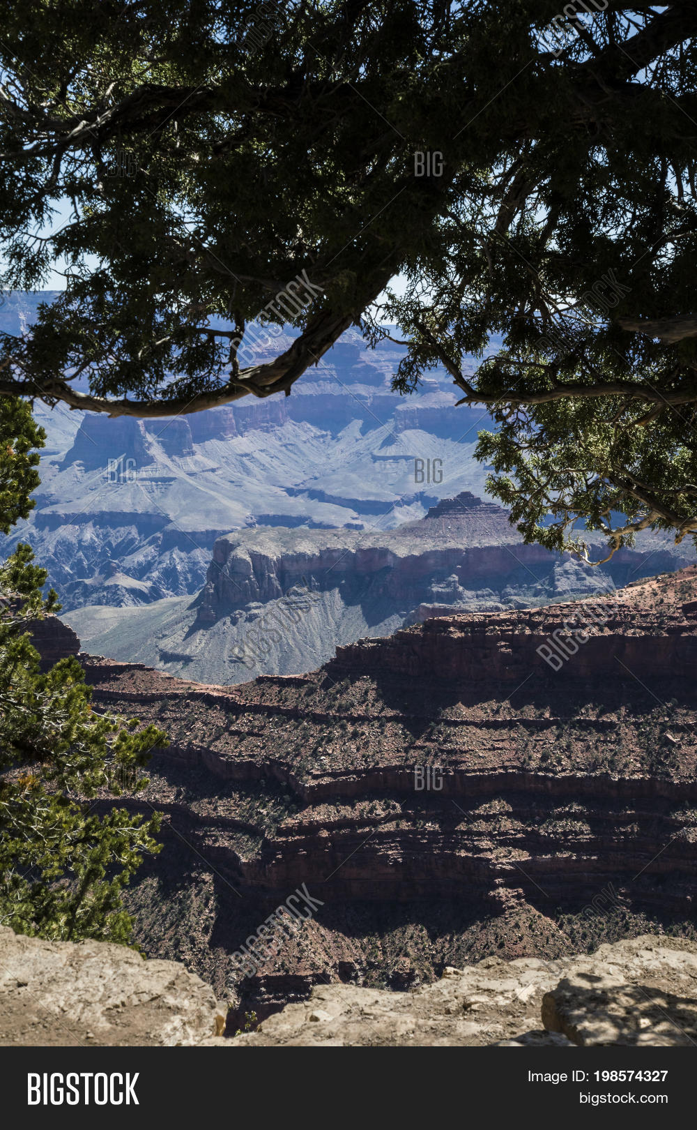 Grand Canyon Arizona Image & Photo (Free Trial) | Bigstock
