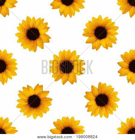 Sunflowers seamless pattern. Flower pattern. Vector stock.