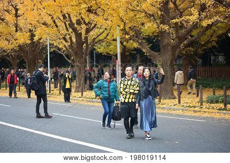 Ginkgo Avenue, Tokyo