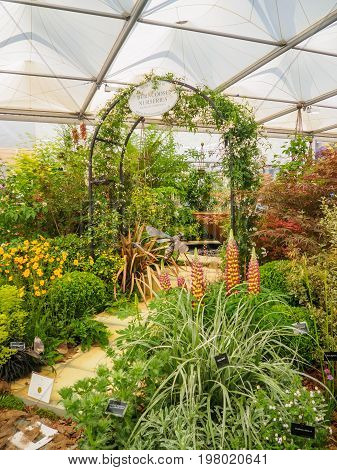 LONDON UK - MAY 25 2017: RHS Chelsea Flower Show 2017. Burncoose nurseries plants display.