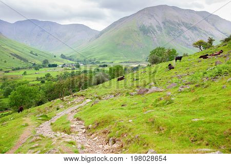 Views on the path to Scafell pike, the highest mountain in England, Lake District National Park, England, selective focus