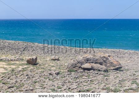Ocean And Rocks In Vila Nova Das Milfontes