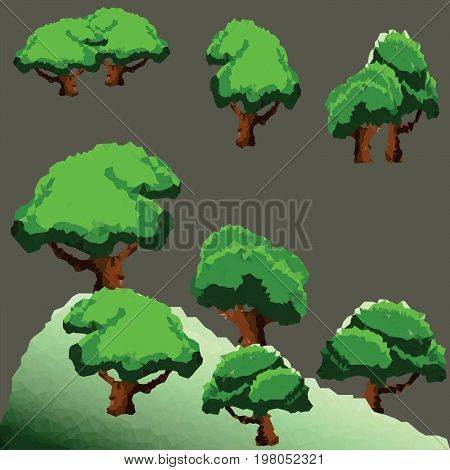 Vector polygon trees and pine in forest