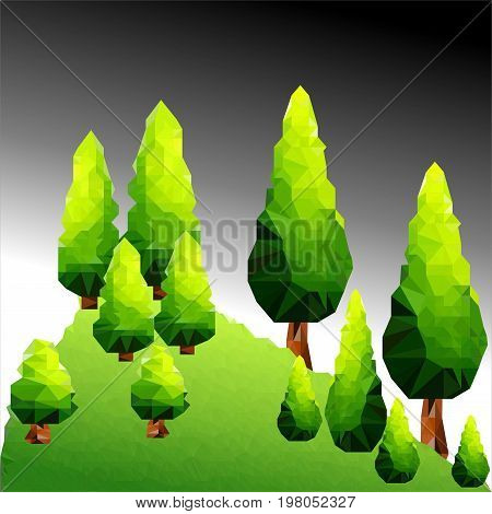 Vector polygon trees and pine in forest