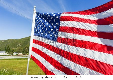 Flag of the United States of America (American flag or The Stars and Stripes Old Glory The Star-Spangled Banner) waving in the wind against summer forest landscape in sunny day.