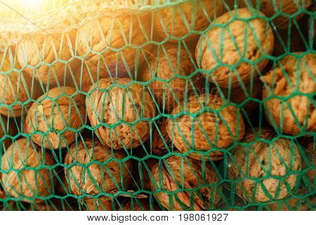 Background Of Bunch Of Unpeeled Riped Walnuts, Collected Into Green Wicker Net Bag
