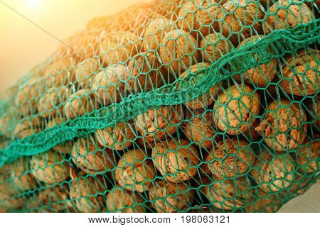 Background Of Bunch Of Unpeeled Riped Walnuts, Collected Into Green Wicker Net Bag