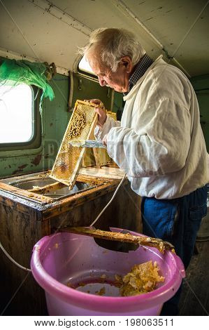 The beekeeper separates the wax from the honeycomb frame. A special knife for separating the wax from the frame with honey