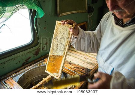 The beekeeper separates the wax from the honeycomb frame. A special knife for separating the wax from the frame with honey