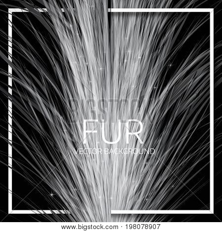 Abstract Fur Background