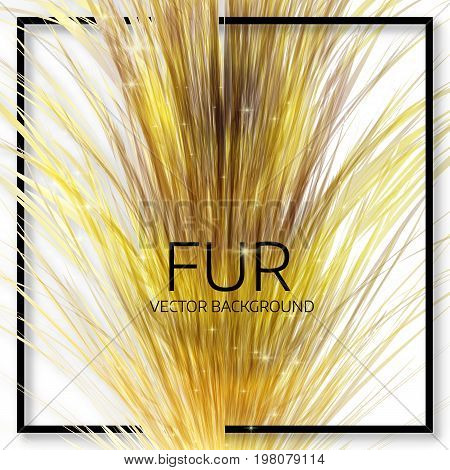 Abstract Fur Background