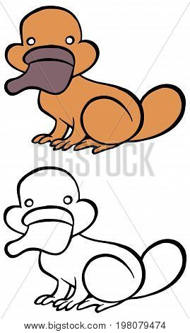 Color and bw cartoon platypus - You can design cards, part of platypus logo, mascot, corporate character and so on. Lively animal character.