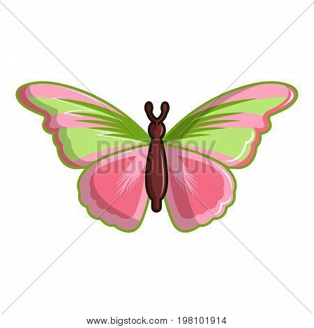 Esmeralda butterfly icon. Cartoon illustration of esmeralda butterfly vector icon for web design