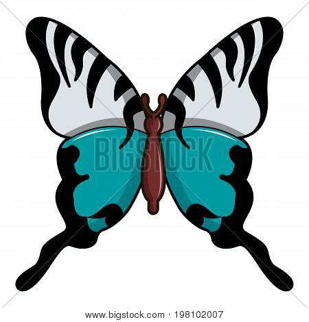 Papilio palinurus butterfly icon. Cartoon illustration of papilio palinurus butterfly vector icon for web design