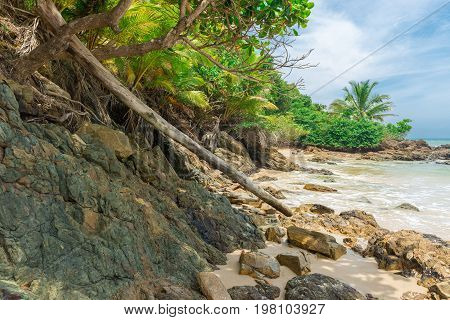 Amazing Green Nature At The Itacarezinho Beach