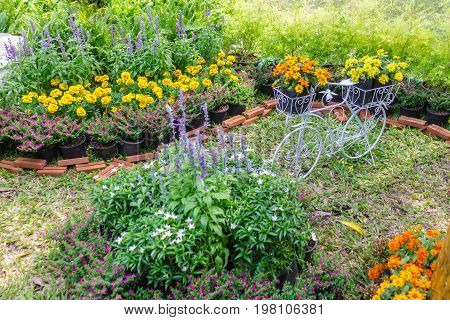 Top view vintage bike planter in cozy home flowers garden on summer.