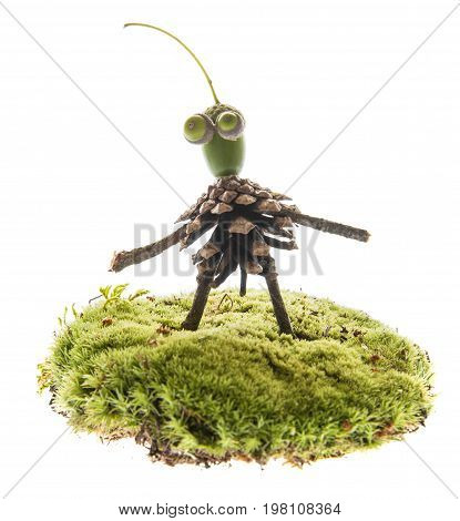 Creature made from natural materials isolated on white - autumnal natural toy