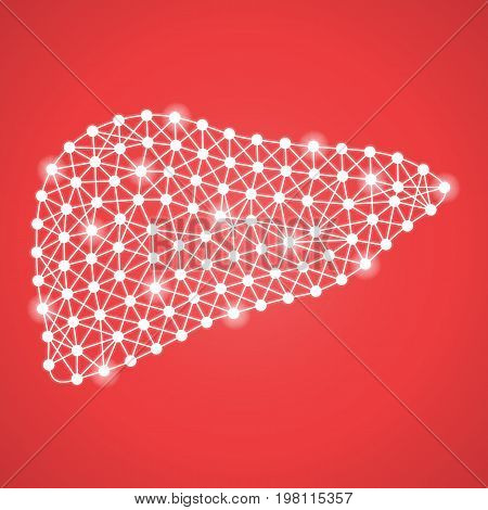Human Liver Isolated On A Red Background. Vector Illustration.Hepatology. Creative Medical Concept