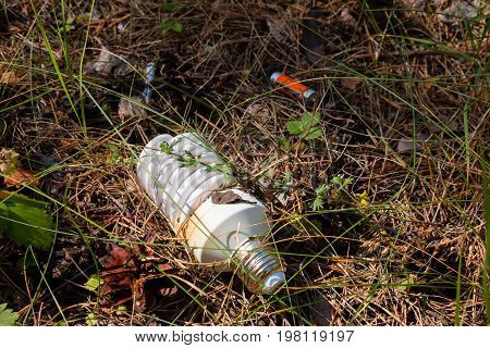 Light Bulb And Batteries - Hazardous Waste In The Woods
