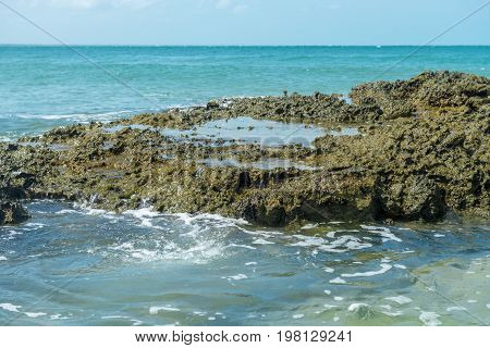 Water Forms And Effects All Over The Beach