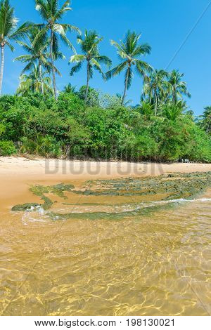 Spectacular And Impressive Paradise Beach At The Marau