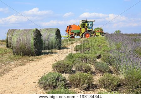 Southern France landscapes of Provence: Harvest lavender fields plateau Valensole