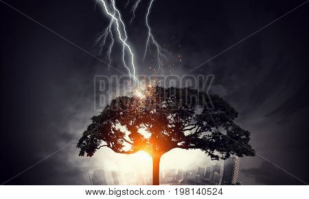 Bright lightning hit the tree