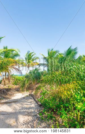 Amazing View Of The Beaches Near Itacare
