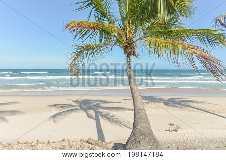 Amazing View Of The Beaches Near Itacare