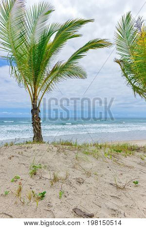 Amazing View Of The Beaches Near Itacare