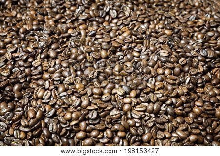 Many luxury aromatic brown coffee beans. Detial view