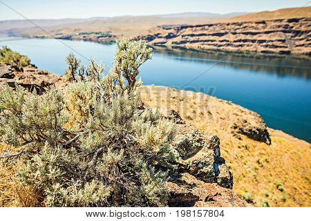 Wanapum Lake Colombia River Wild Horses Monument And Canyons