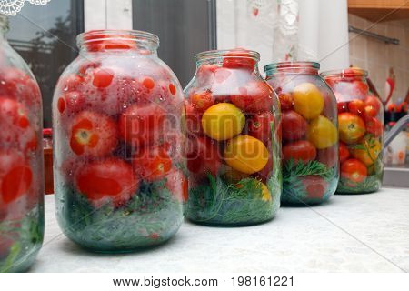 On the table cans prepared for pickling vegetables. In the cans lie tomatoes and spices. Close-up image.