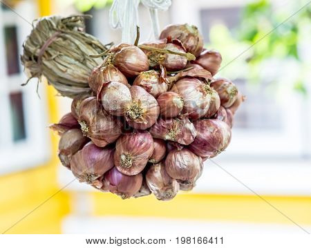 red onion and ingredient for cook Thaifood