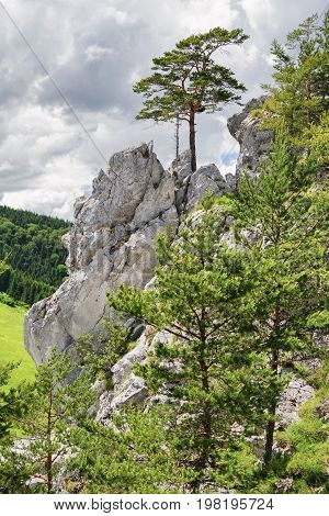 Rock formations in mountain resort Malino Brdo SLovakia