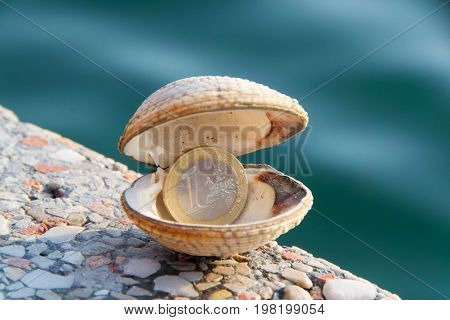 Sea clams fasolara or warty venus. Isolated photo of shell with a coin in it