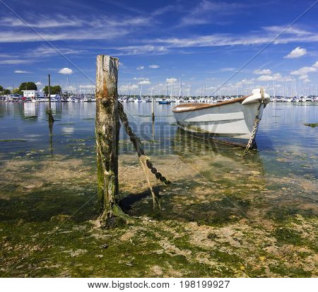 Derelict boats in the backwaters of Holes Bay Poole Harbour at low tide