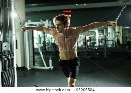 Muscular Man Lifting Weights In Fitness Gym Center