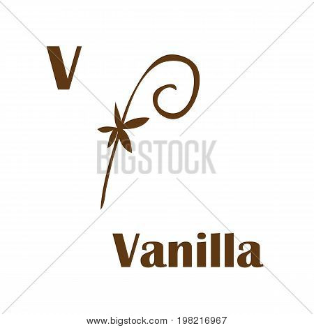 Kids alphabet in flat style. V - vanilla. Vector illustration for print, cards and creaive design