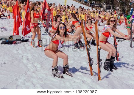 Group Of Young Happy Pretty Women On A Snowboard In Colorful Bikini.