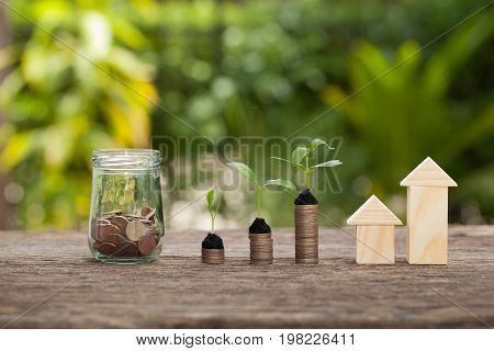 Money and plant Saving money concept concept of financial savings to buy a housetrees growing in a sequence of germination on piles of coins Growth business money.