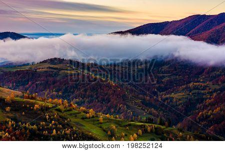 Cloud On The Hill With Colorful Foliage At Dawn