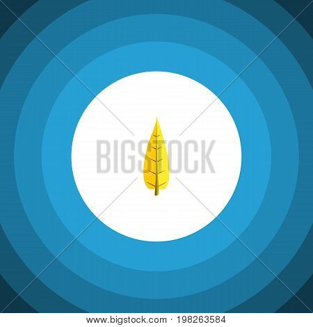 Maple Vector Element Can Be Used For Oaken, Maple, Leaf Design Concept.  Isolated Oaken Flat Icon.