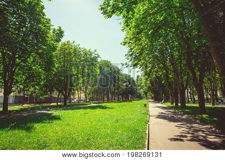 A deserted boulevard in the center of the city in bright sunny summer weather